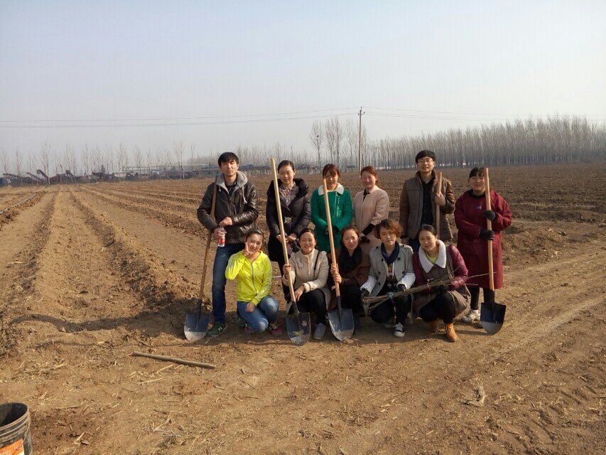 博農(nóng)集團領(lǐng)導(dǎo)、基層黨政負(fù)責(zé)人等同志積極參加植樹活動