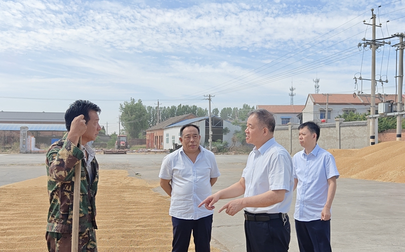 集團領(lǐng)導視察“三夏”工作